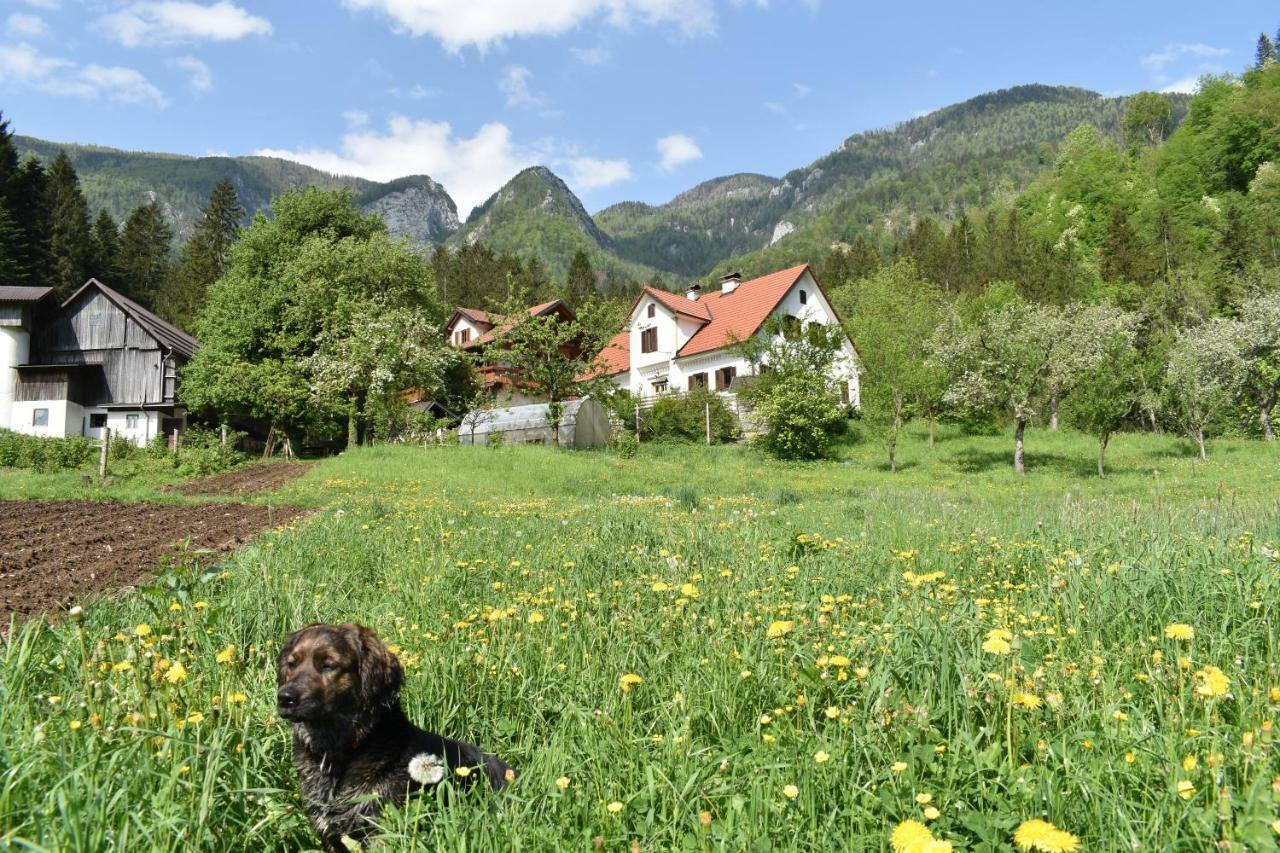 Turisticna Kmetija Stoglej Villa Luce Exterior photo